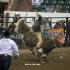 TN High School Rodeo